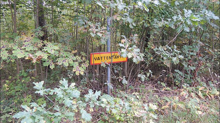 Ny SVU-rapport: Vattenskydd – riskanalys och föreskrifter (dricksvatten)