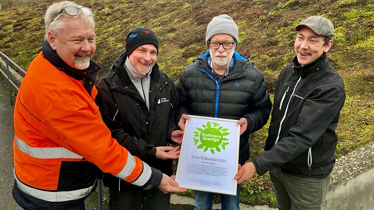 Årets Pollinatör 2021 Nybro Kommun