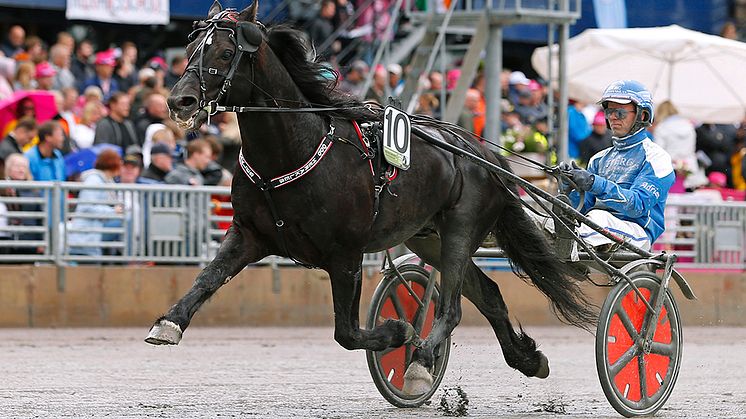 Odd Herakles är klar för Elitkampen. Foto: TR Bild