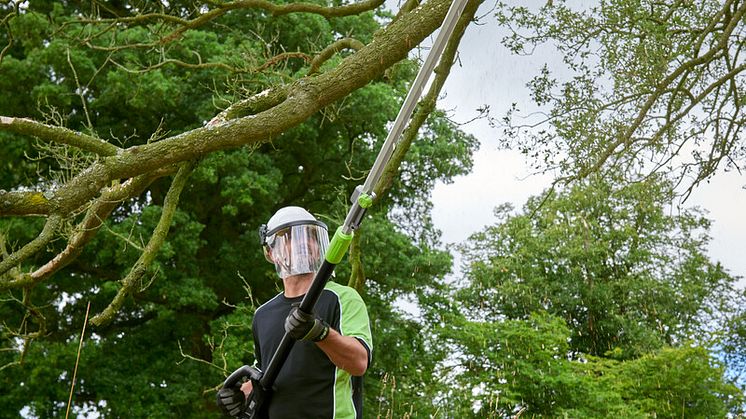 Telescopic_Pole_PoleSaw_Main_6_ 1.jpg