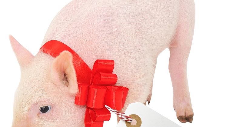 Julklapptips från Barnfonden: Julgrisen som gör skillnad