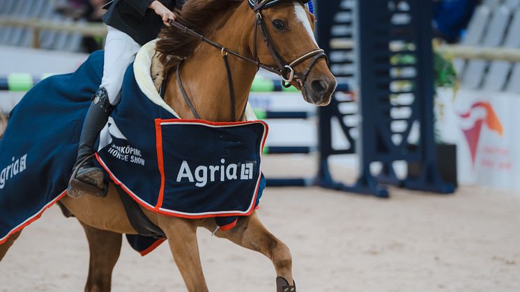 Alvesta tjejen Ayleen Ejderland, 11 år, från Växjöortens Fältrittklubb fick tillsammans med B-ponnyn Kiltara Pringle ta täten i Jönköping Horse Show 2022's första ärevarv