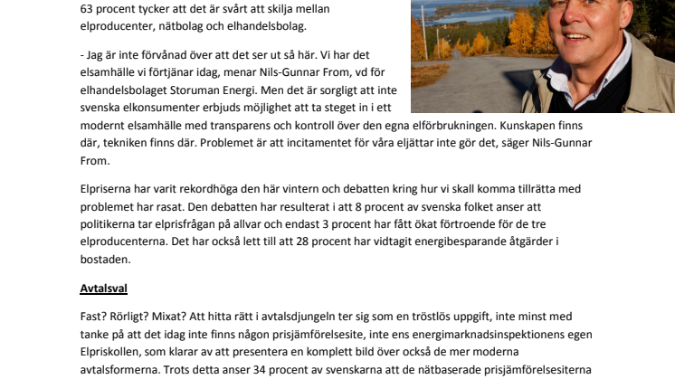 Var tredje elkonsument förstår inte sin egen elräkning
