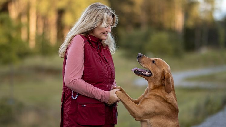 Dog sport's Trainer väst