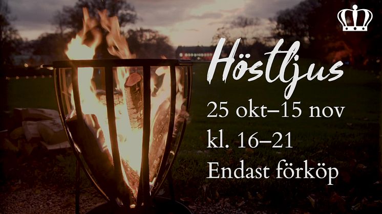 Höstljus 1