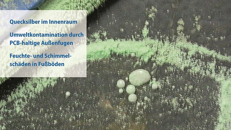 Gebäudeschadstoffe und Innenraumluft, Band 12