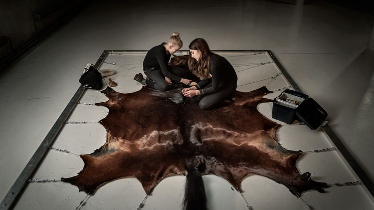 Protector, Signe Johannessen