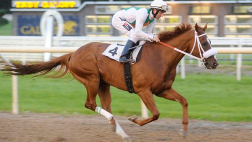 Superhästar till Täby på tisdag: – Bästa galopp-loppet någonsin i Sverige? 