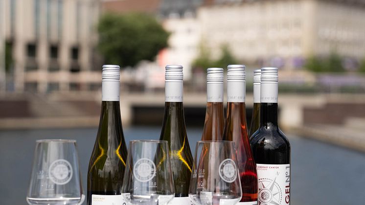KtW_2024 Weingut Ingenhof.jpg