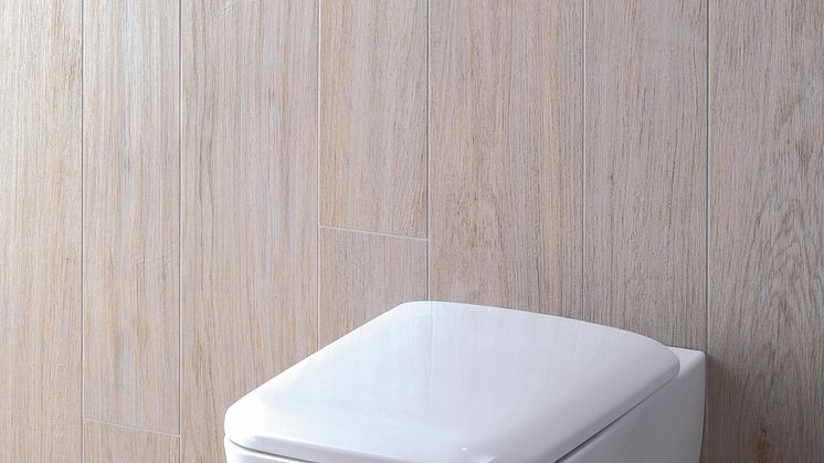 Porsgrund it! Rimfree klosett