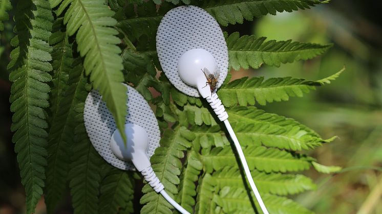 Electronic Flora. Lerin/Hystad.