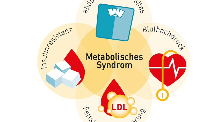 Grafik Metabolisches Syndrom.png