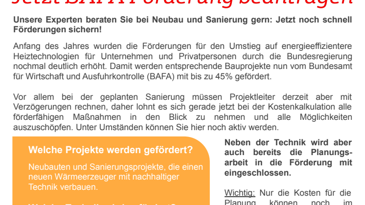 BAFA Förderungen Übersicht: Was wird gefördert?