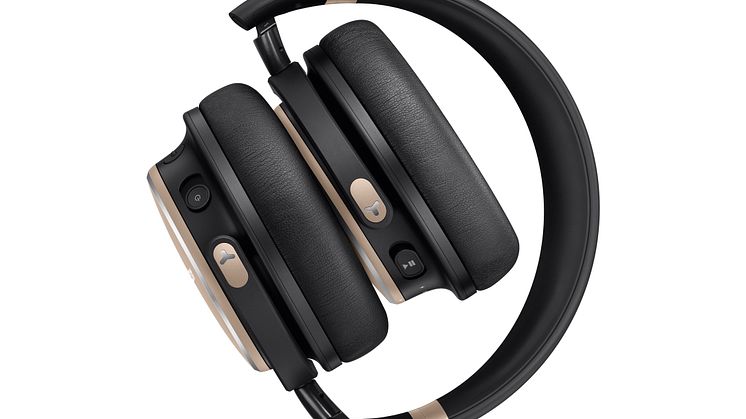 AKG Y600_Detail1_Gold