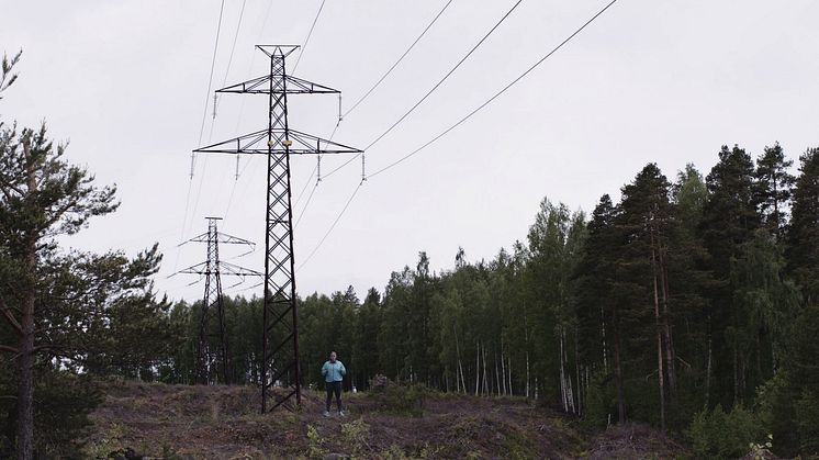 Elkunden i det smarta elsystemet 