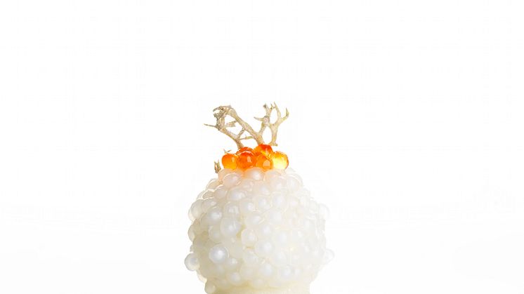 Pepparrot, kålrabbi och tapioka