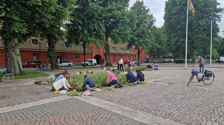 6 750 blomsterlökar fick nya ägare