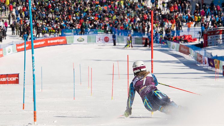 SkiStar Winter Games
