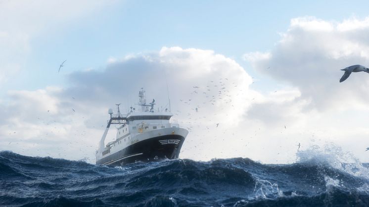 Foto: Johan Wildhagen, Norges sjømatråd
