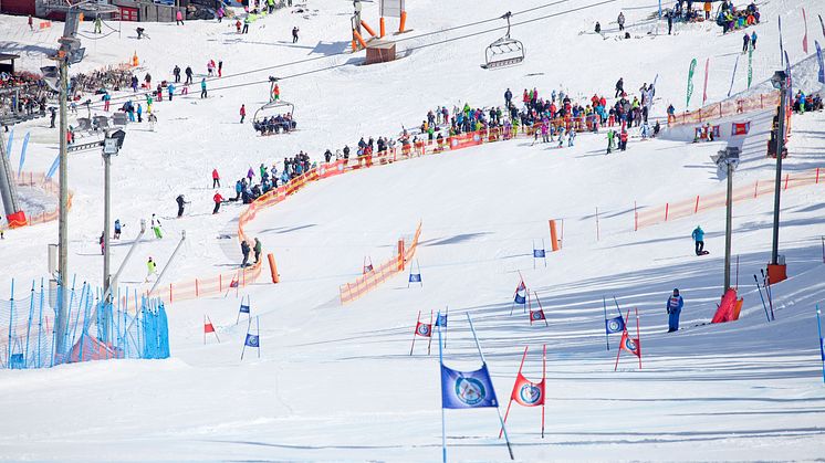 NM alpint Hemsedal 24-30 mars 2014