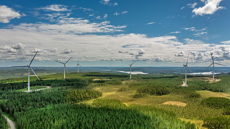 Fotograf: Jan Lipka