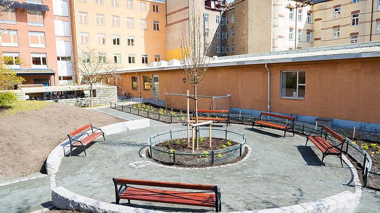 Inbjudan: På söndag invigs päronträdet för att hedra August Palm