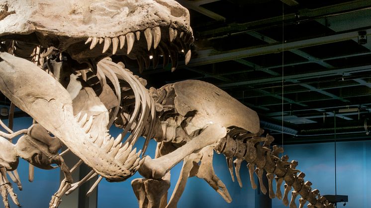 Dinosaurierna är tillbaka!