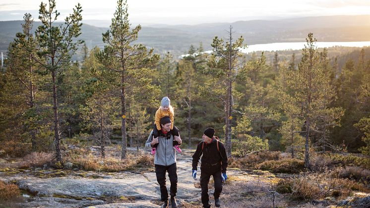 Forskningssamarbete tar Höga Kusten en nivå till