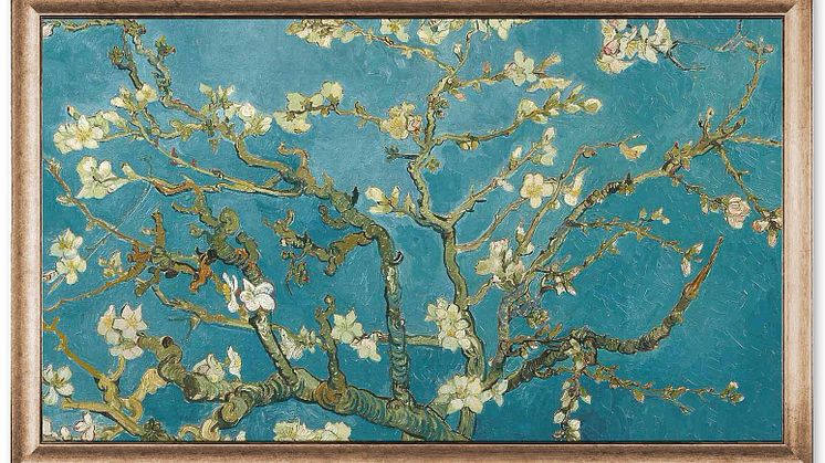 samsung-the-frame-65-frameit-rome-champagne-01