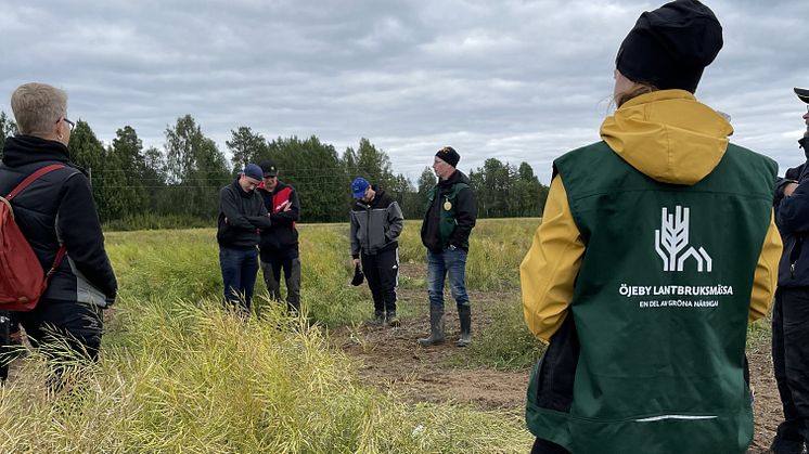 Öjeby Lantbruksmässa blir till fältdagar