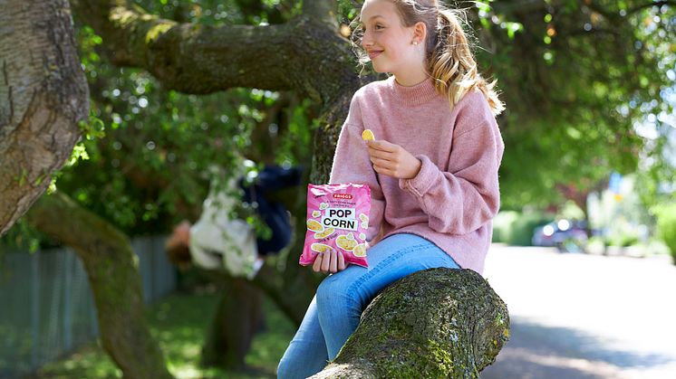 Friggs Minimaiskaker Popcorn