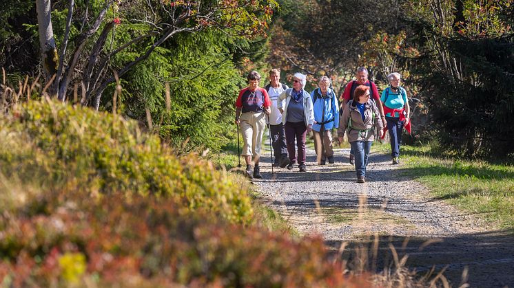 Wanderung in Kurort Oberwiesenthal (Foto: TVE/Uwe Meinhold)