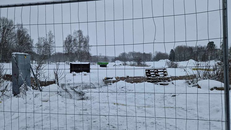 begravningsplatsen 30 nov 2023