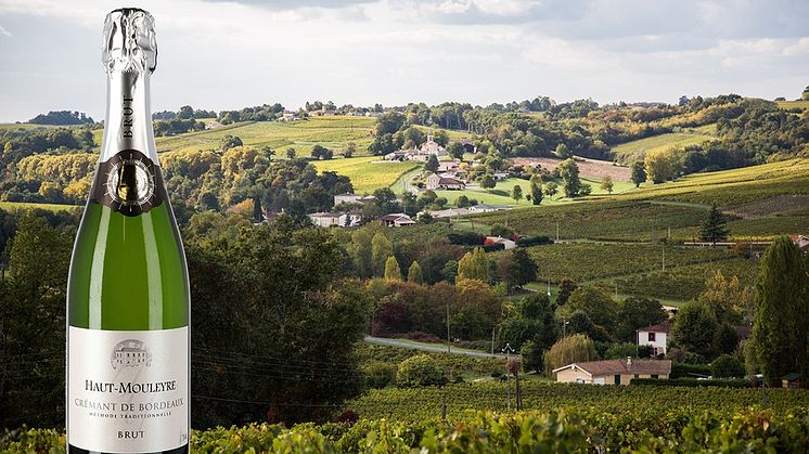 Exklusiv och sällsynt nyhet -Crémant de Bordeaux Haut-Mouleyre
