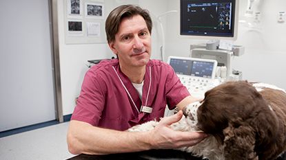 Professor Jens Häggström med patient på Universitetsdjursjukhuset vid SLU.