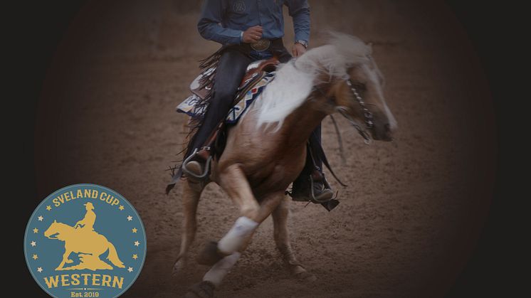 Reining, Trail, Western Horsemanship, Ranch Riding och Showmanship at Halter är grenarna som kommer att avgöras i Sveland Western Cup. Bild: Bengt Ekblom