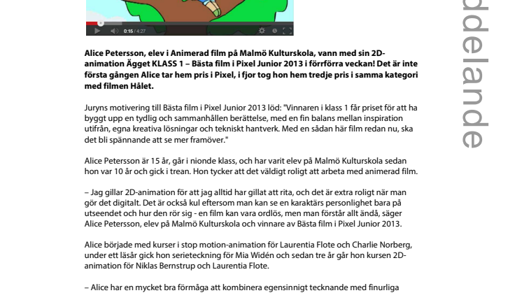 Elev på Malmö Kulturskola vinnare i Pixel 2013