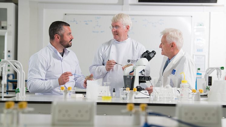 Dr Graeme Turnbull, Professor John Dean and Professor Stephen Stanforth from the Department of Applied Sciences