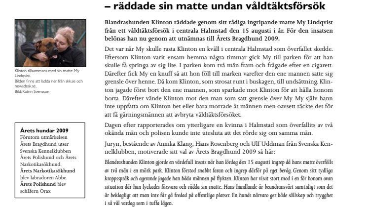 Klinton är Årets Bragdhund 2009!