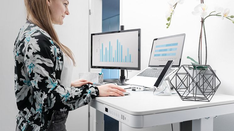 Product News: DIGITUS® by ASSMANN, is your compass for back health today 🧭