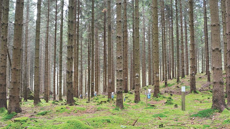 30 års miljöövervakning visar att försurningen fortfarande håller södra Sverige i sitt grepp