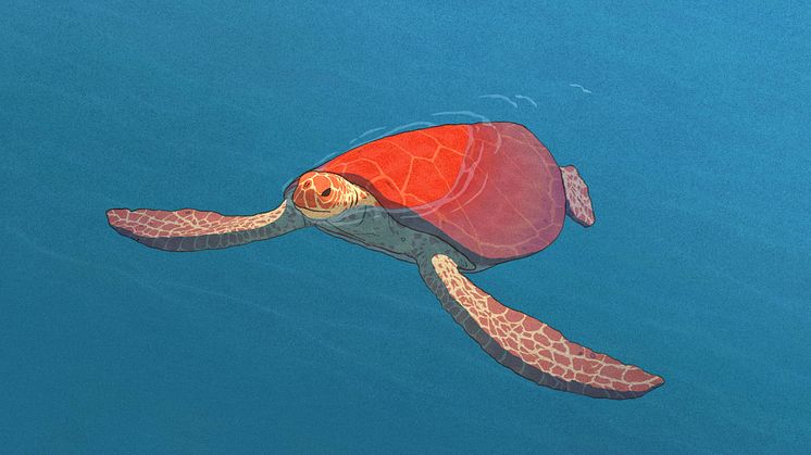 3_The_Red_Turtle_©_Universal_Pictures