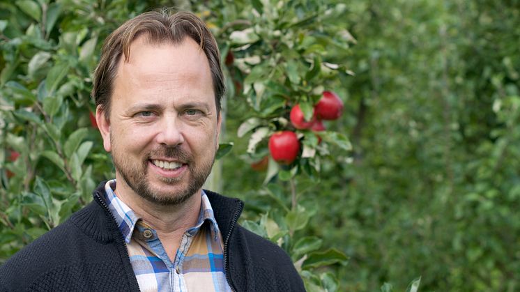 Jan Jensen, odlingsansvarig på Kiviks Musteri, arbetar för en större mångfald. Foto: Anna Lind  Lewin.