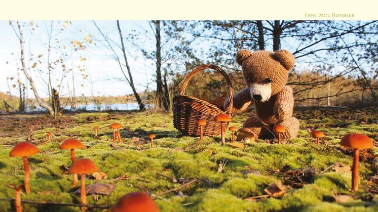  Mit Bärenherz durchs Jahr 2018 - Der neue Bärenherz-Kalender 