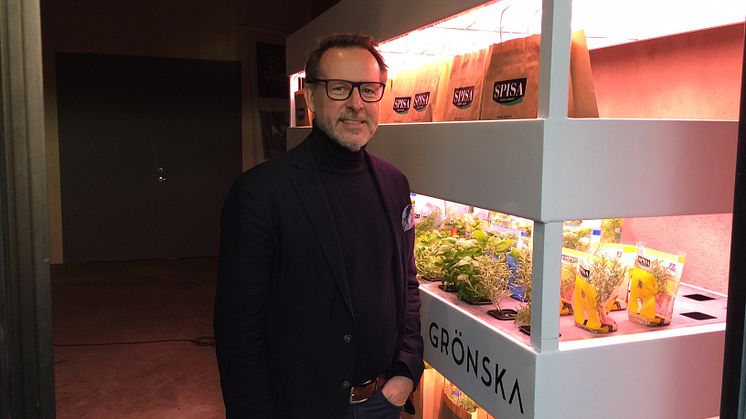 Lars Thunberg, kommunalråd (KD) och ordförande i beredningen för livskvalitet, visar upp testodlingen i Helsingborg.