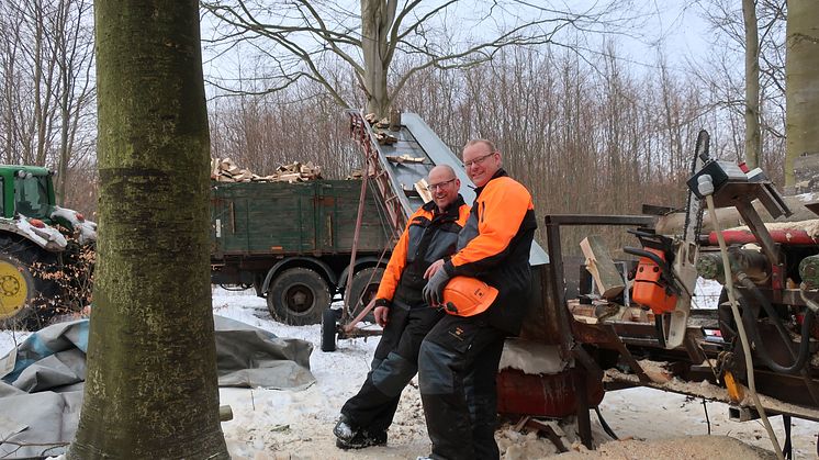 STIHL fans Jens og Henrik Larsen ved savværket