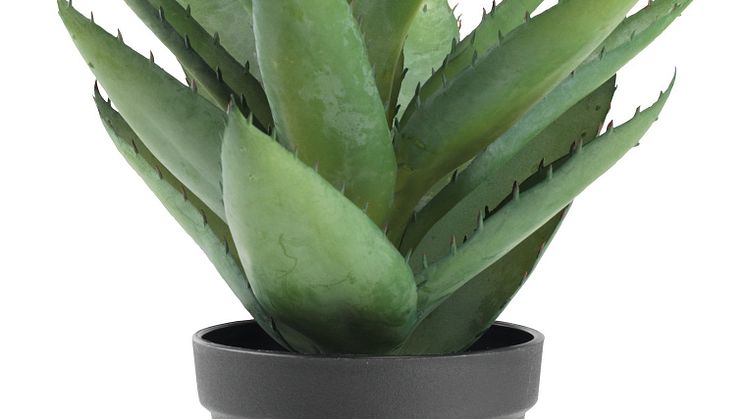 Kunstplant STEINAR Ø25xH30 met pot (8 euro)