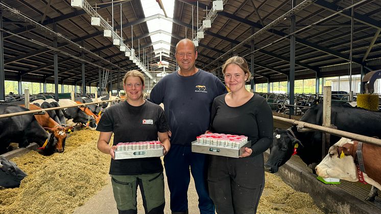 Sofie Lycksell, Tommy Rehn, Julia Krook på Kalset Mjölk. Foto: Växa