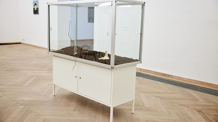 Amalia Melchior Hyldahl, Memory´s Captured.Lifeless Body.A Fragment, Of The Passing. Earth., 2022