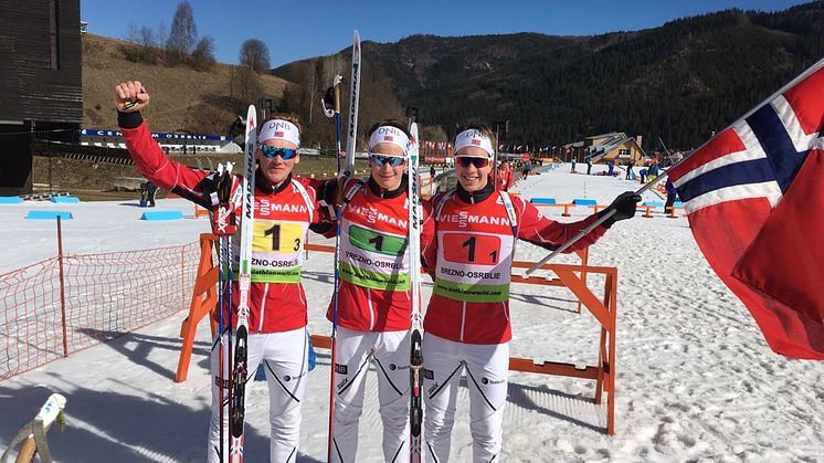 Stafettgull i junior-VM